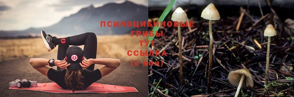 герыч Мегион