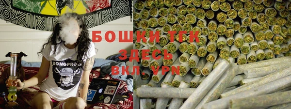 герыч Мегион