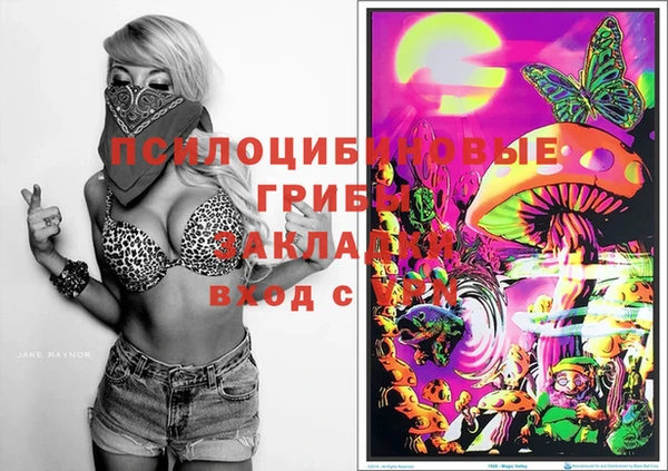герыч Мегион