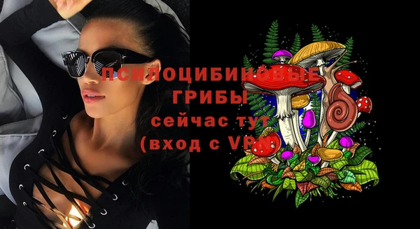 а пвп мука Медвежьегорск