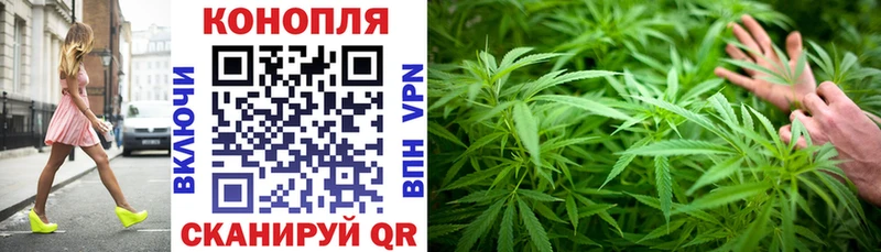 Канабис гибрид  Купить  Санкт-Петербург 